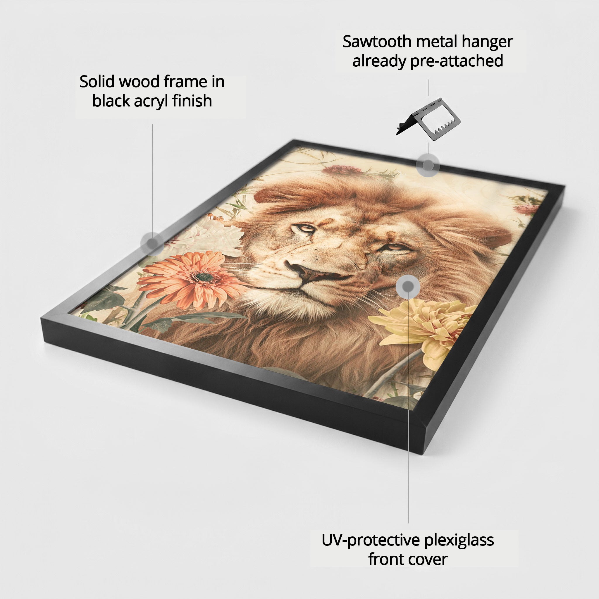 Lion #4 EU