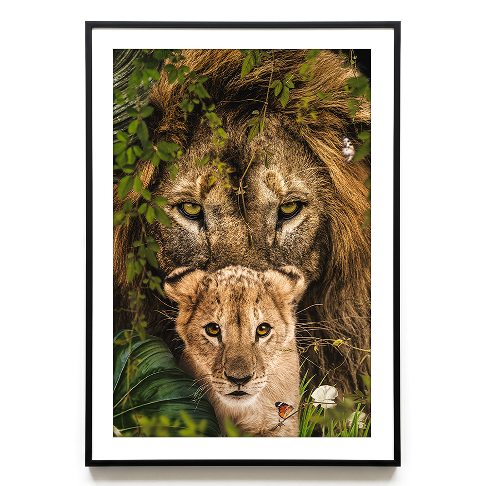 Lion and Cub #2 EU