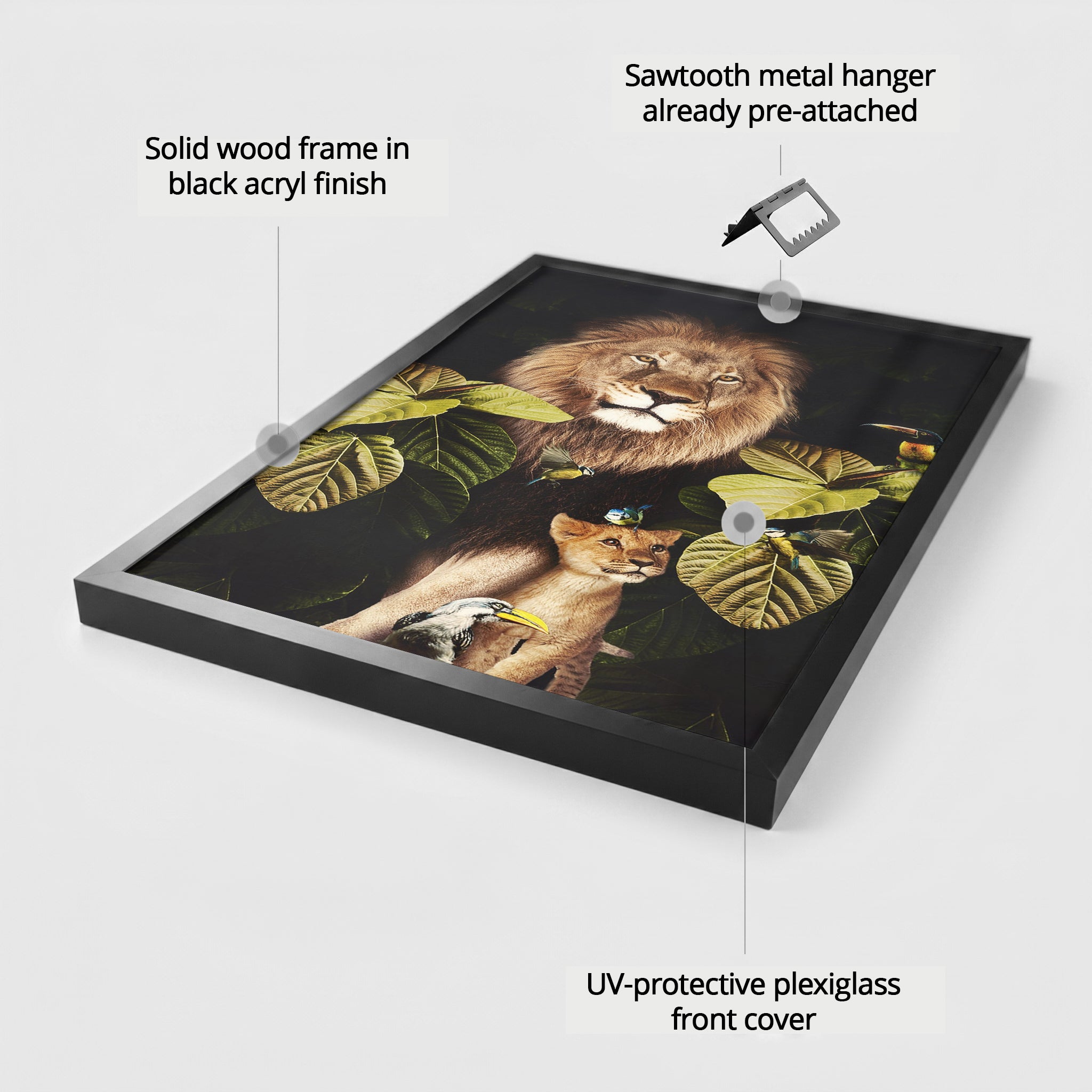 Lion and Cub EU