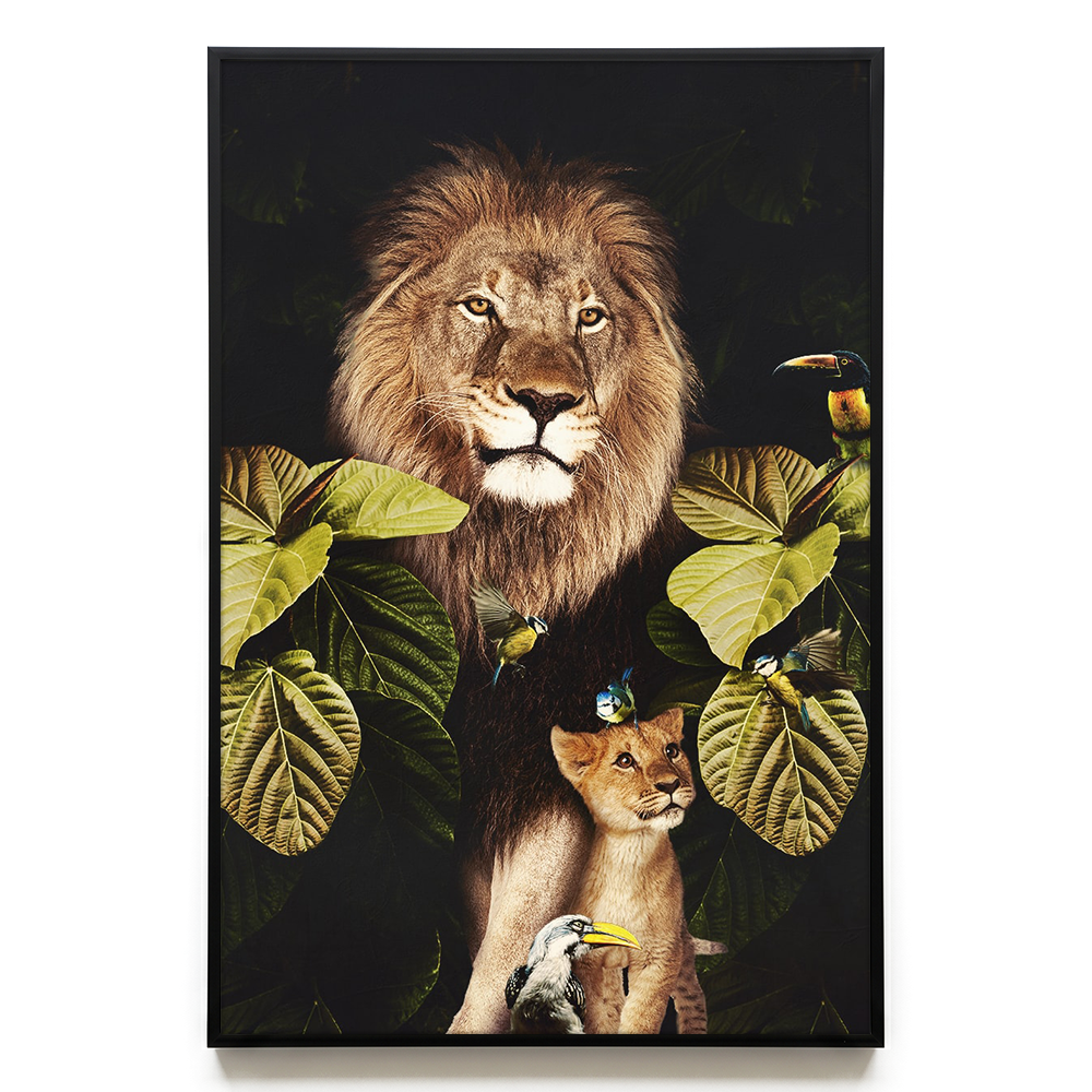 Lion and Cub EU