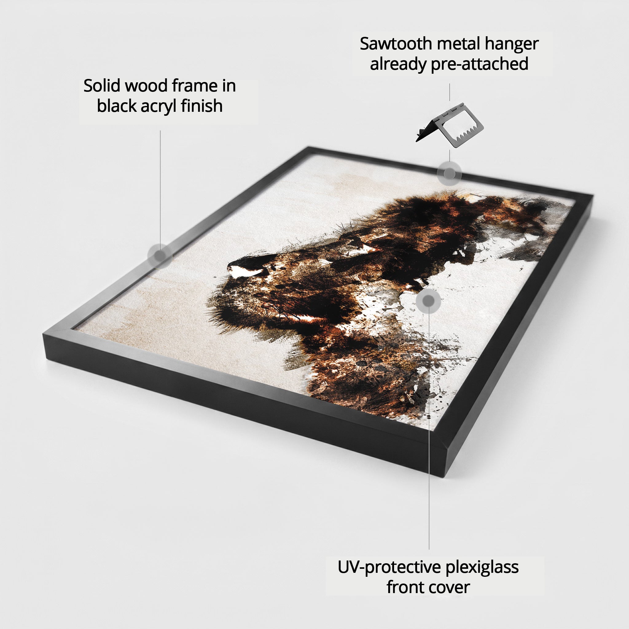 Lion Contour EU