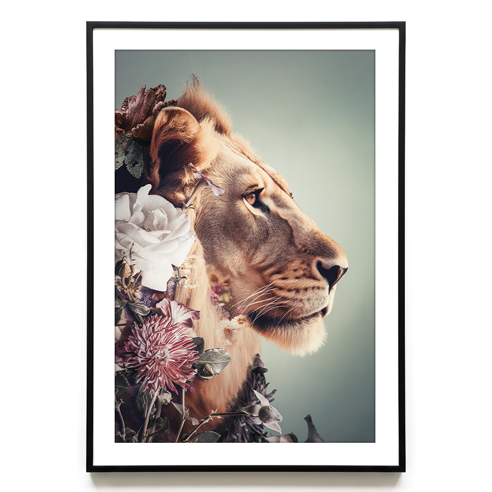 Lion Duet #2 EU