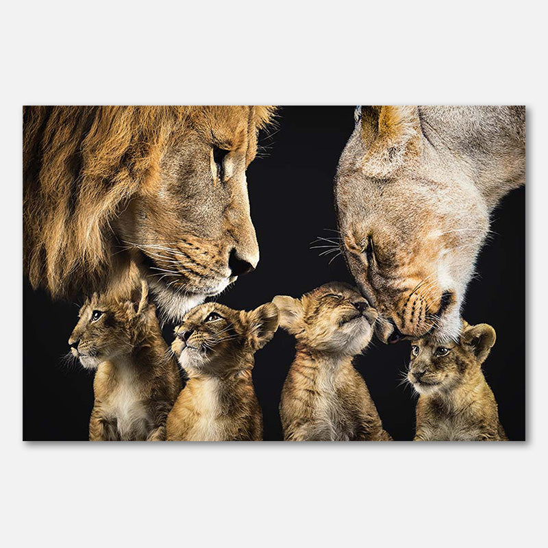 Lion Family 2
