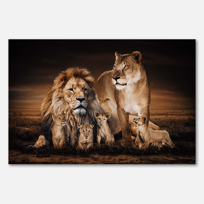 Lion Family