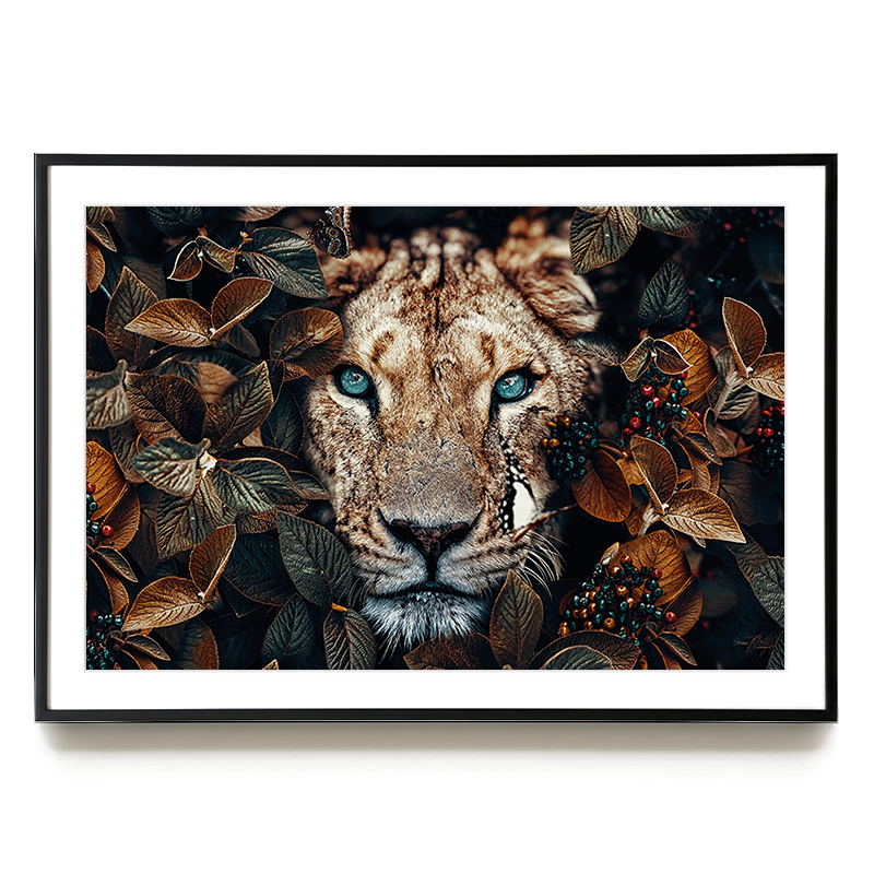 Lioness LS EU