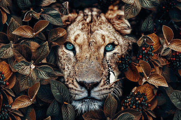 Lioness LS