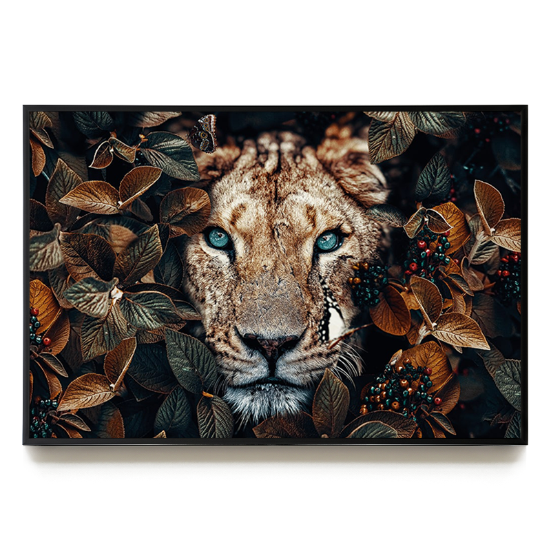 Lioness LS EU