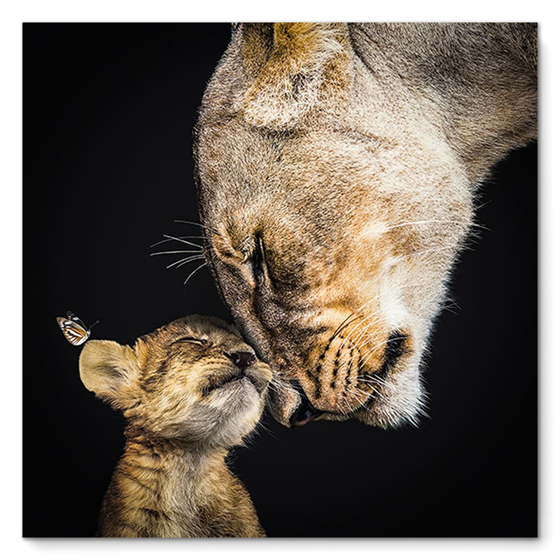 Lioness and Cub
