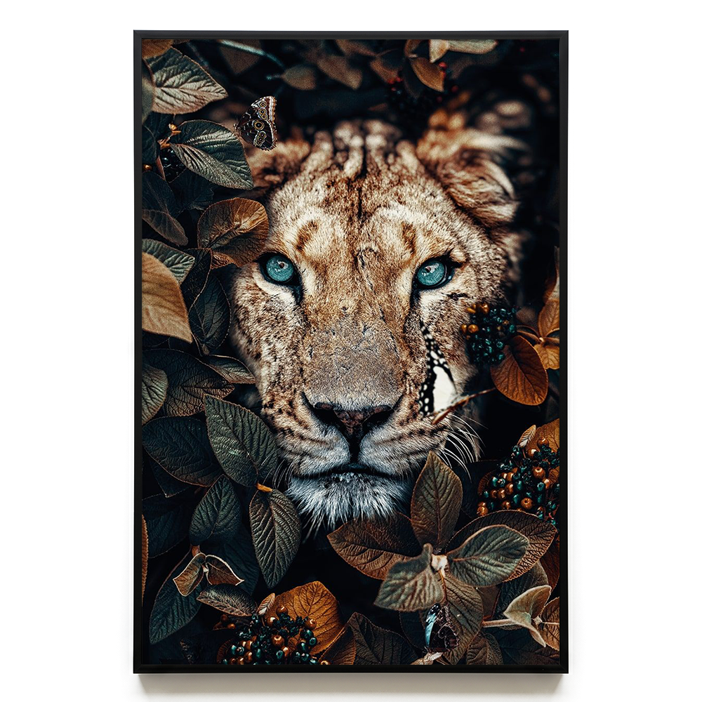 Lioness EU