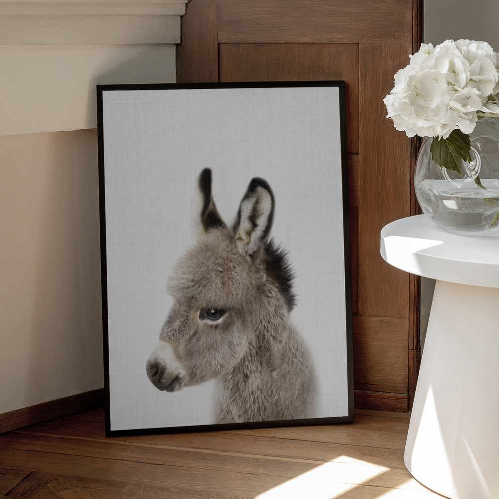 Peekaboo Baby Donkey
