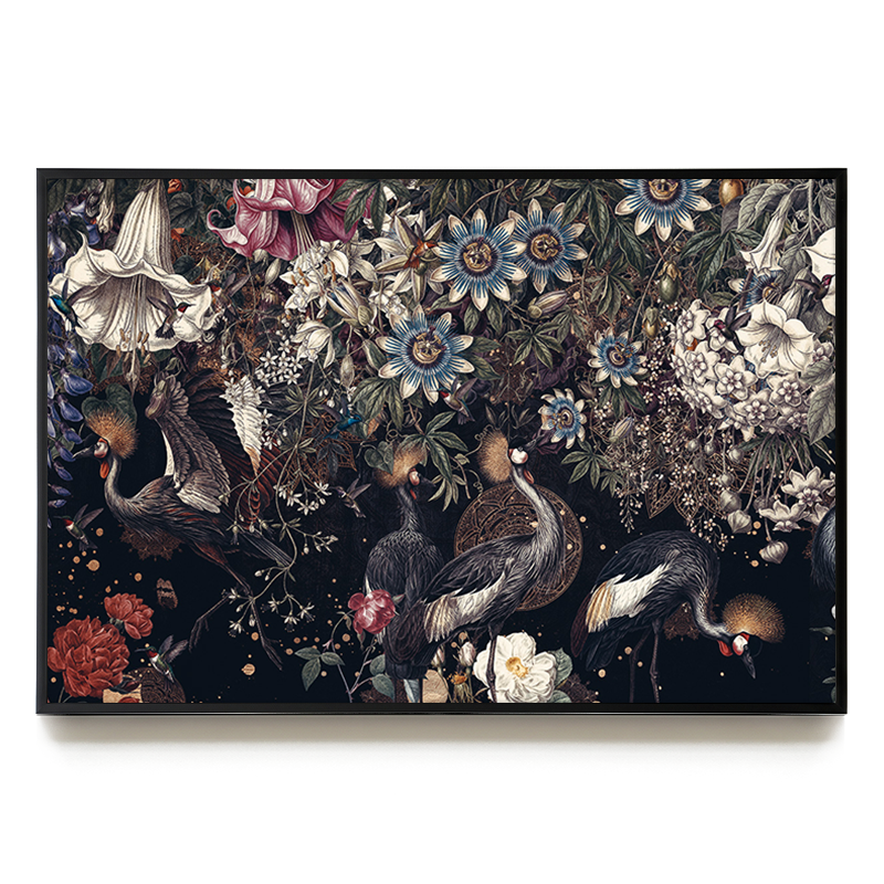 Midnight Cranes LS EU