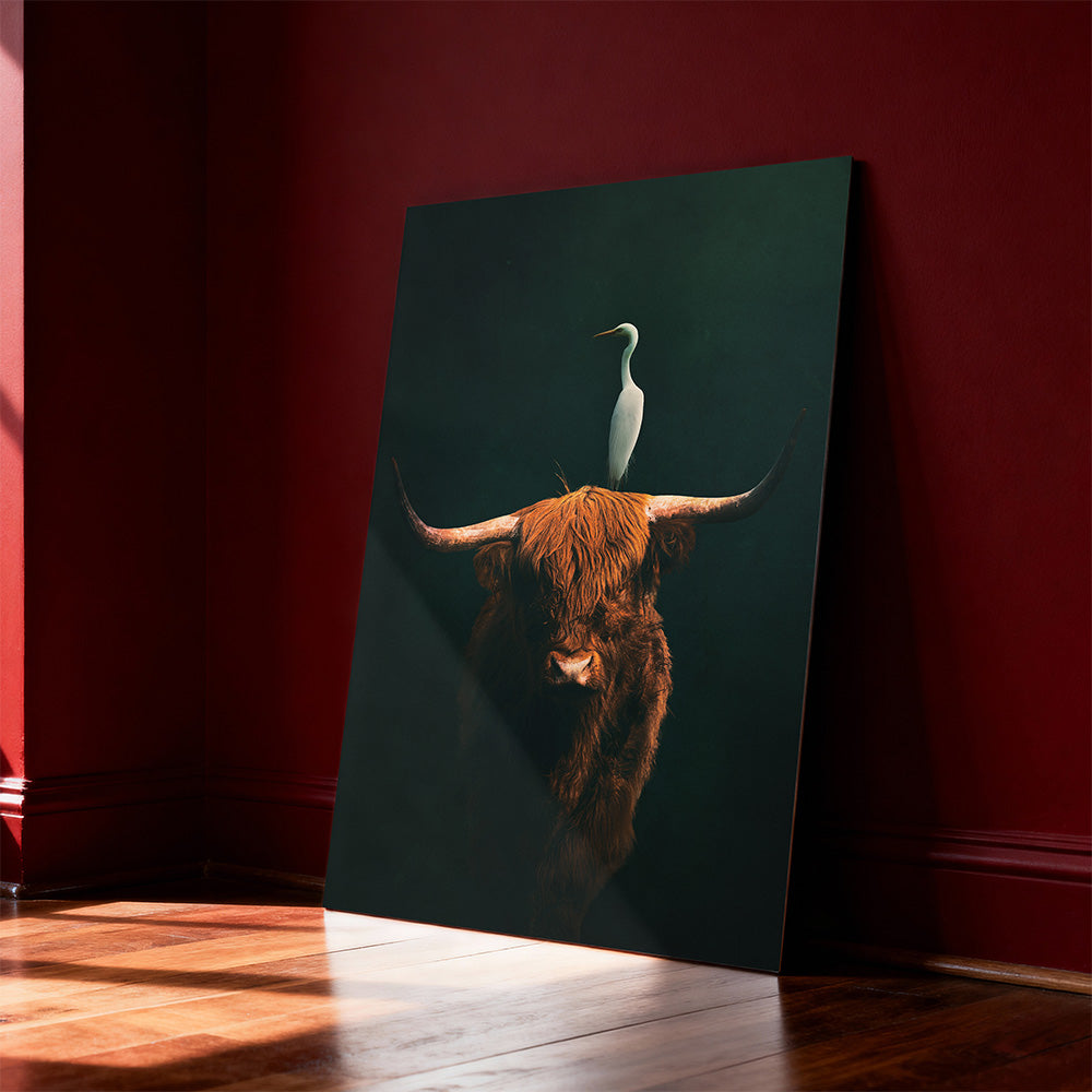 Highland Cow with Heron