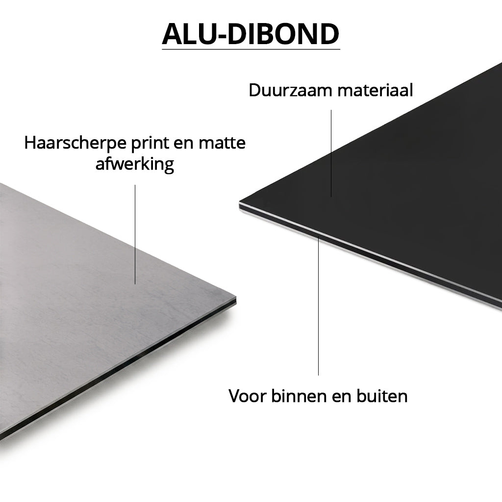 Monkey See No Evil Light