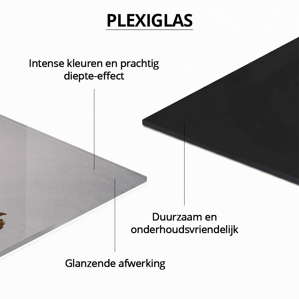 Monkey Speak No Evil Light