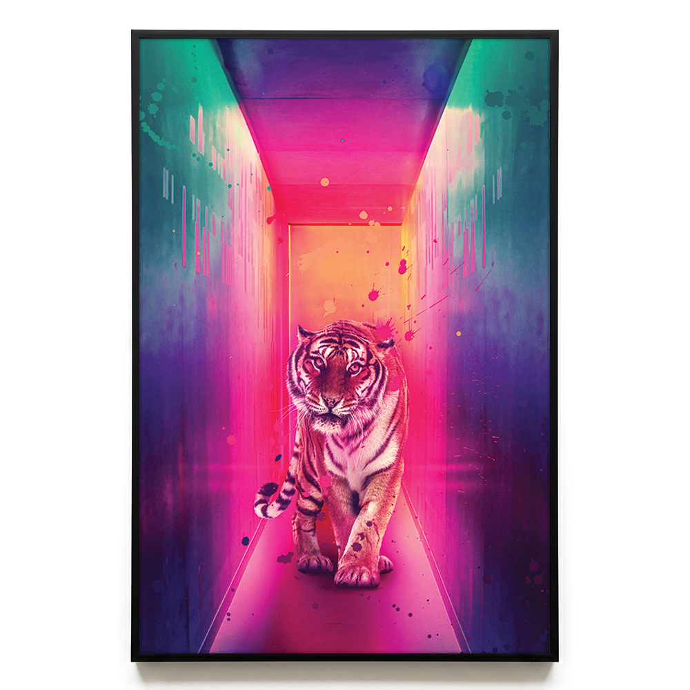 Neon Tiger EU