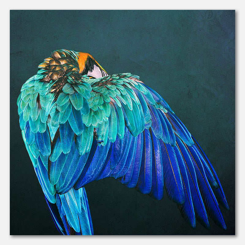 Parrot Wings