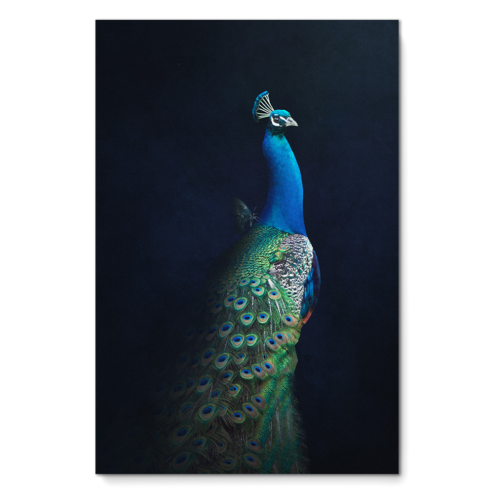 Peacock with Butterfly