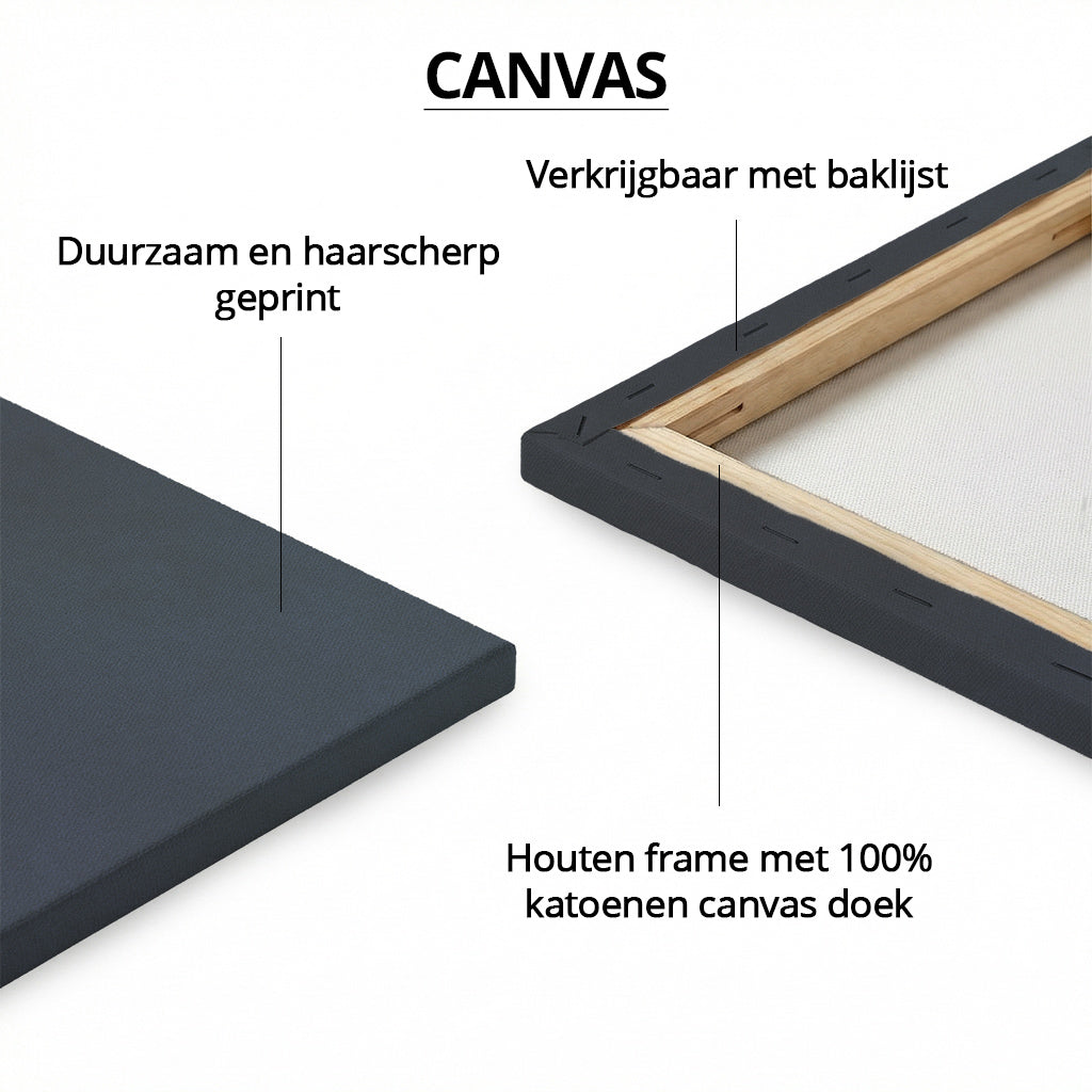 Peacock with Butterfly