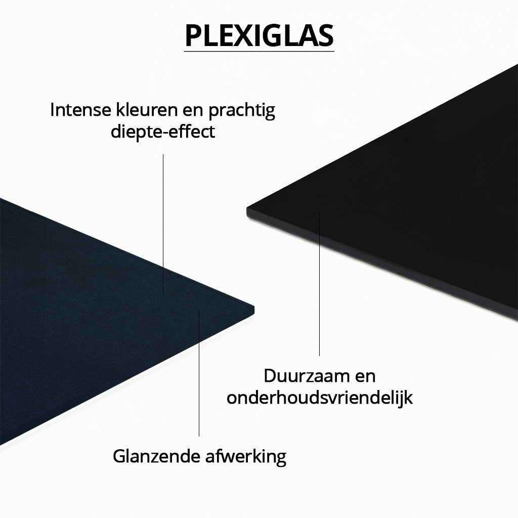 Peacock with Butterfly