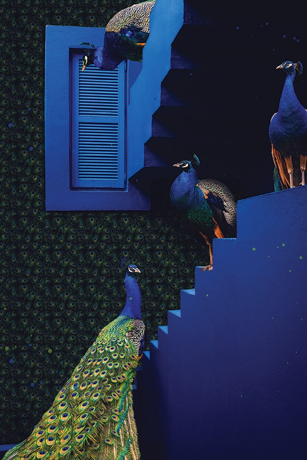 Peacock Staircase