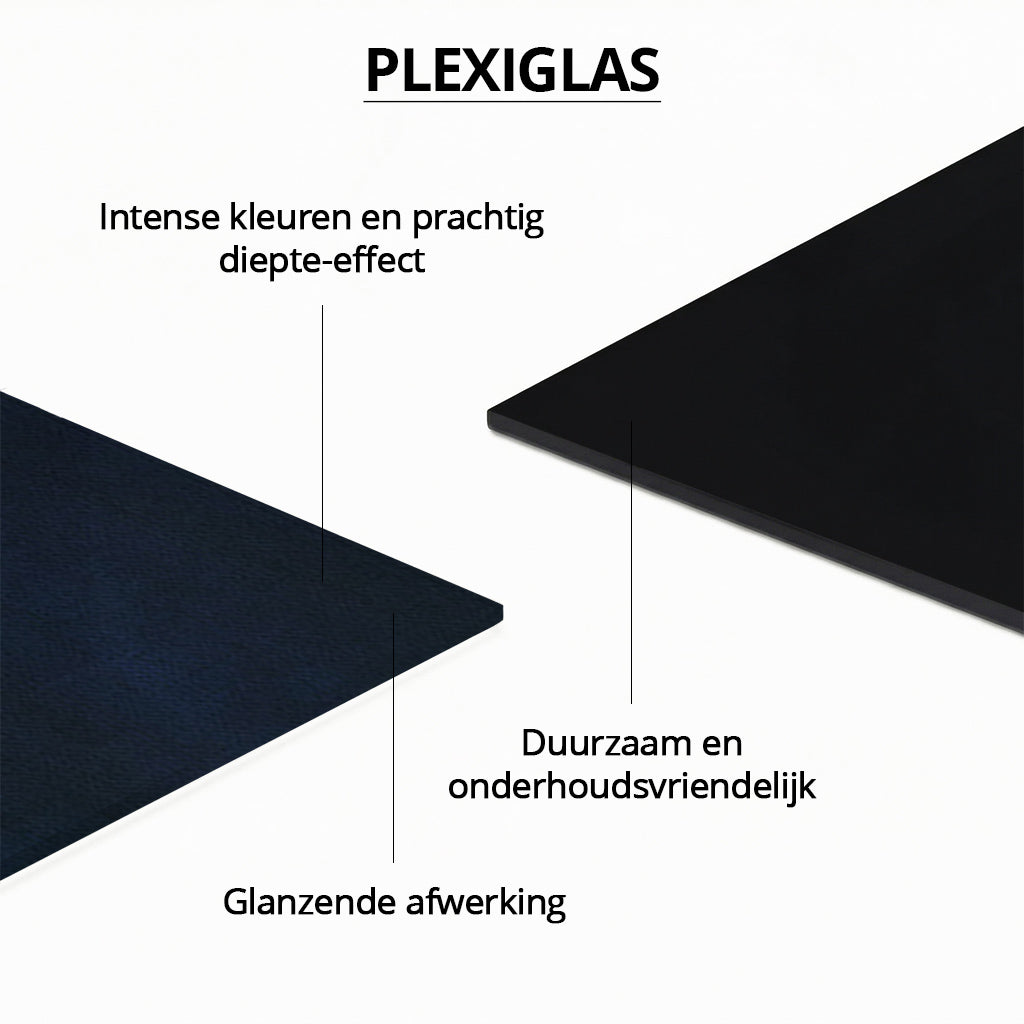 Peacock with Butterfly LS