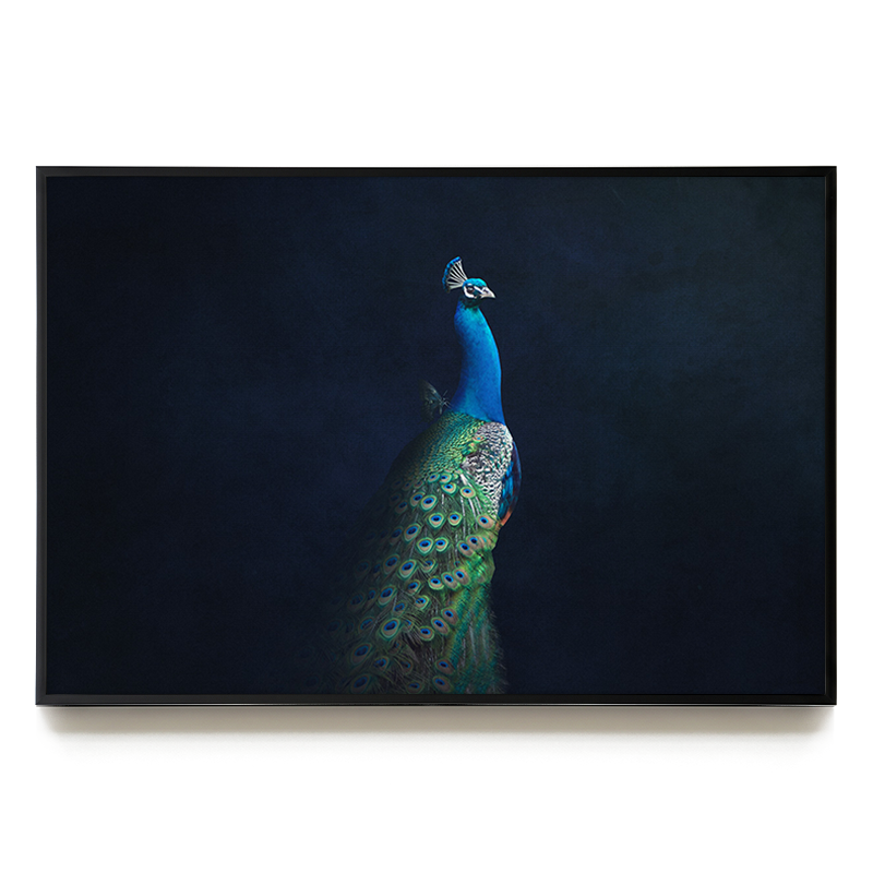 Peacock with Butterfly LS EU
