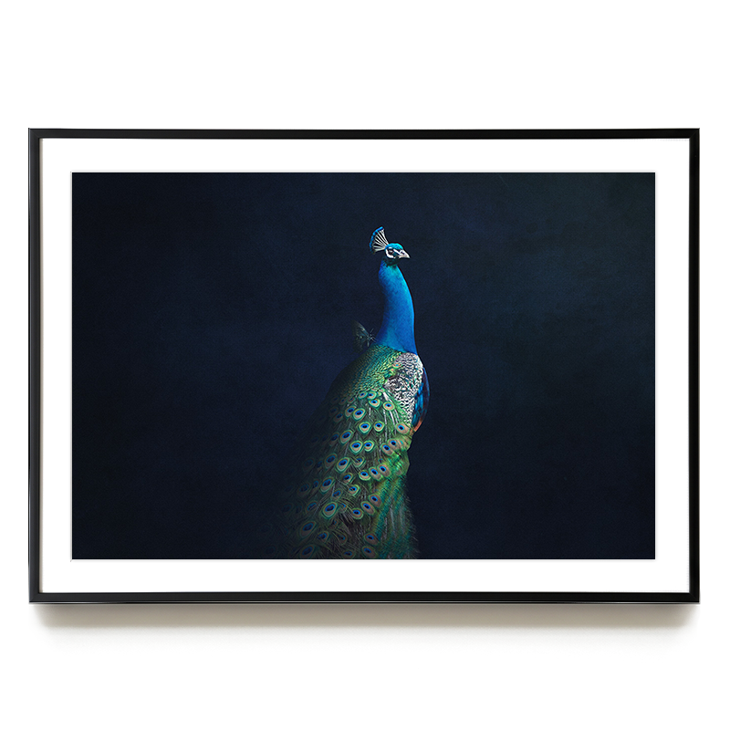 Peacock with Butterfly LS EU