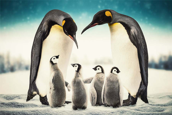 Pinguinfamilie