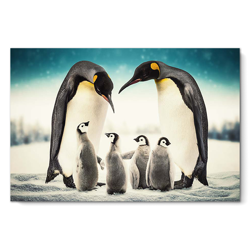 Penguin Family