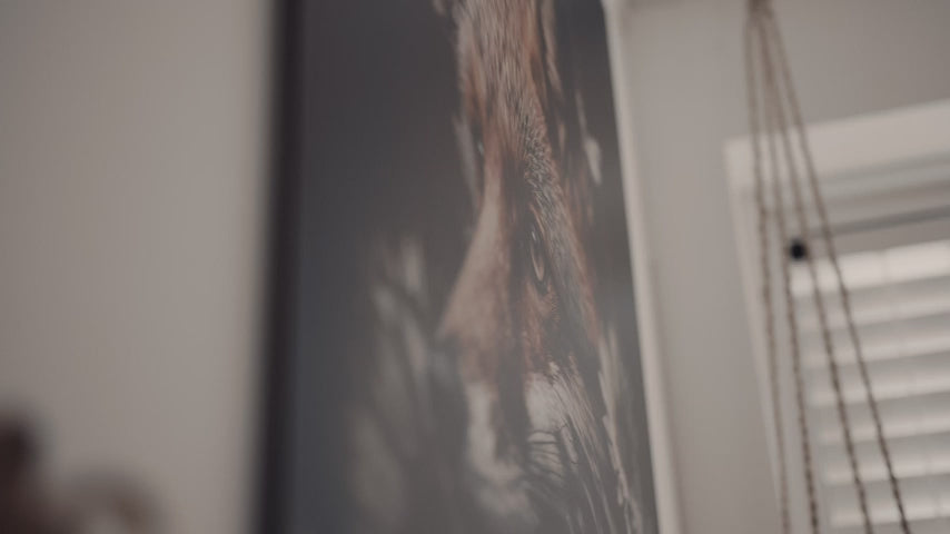 Alt image