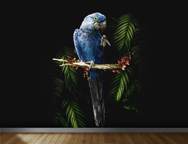 Ara-Papageien-Hintergrundbild