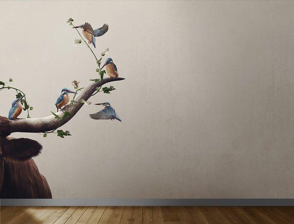 Kingfishers Wallpaper