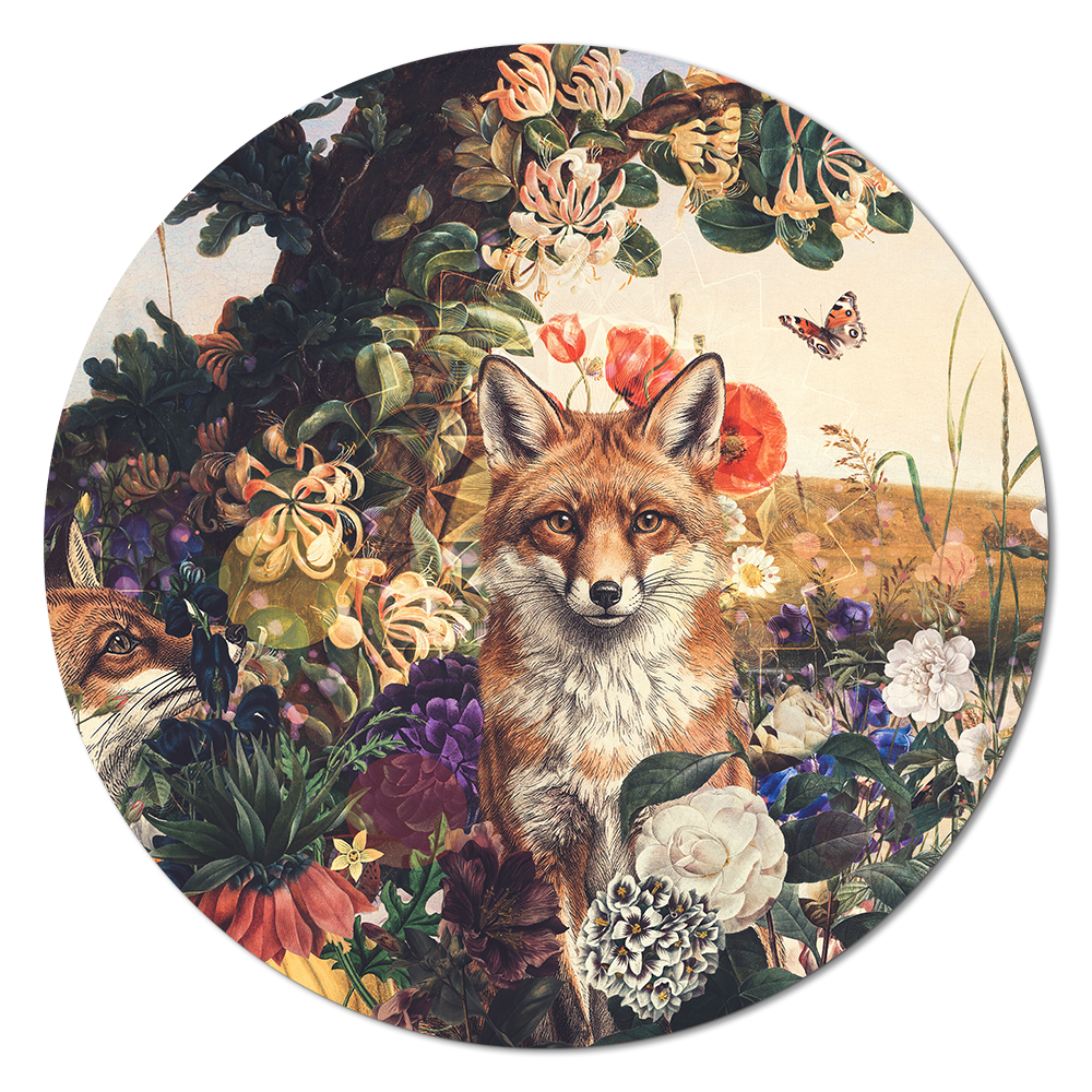 Colorful Life RND #4