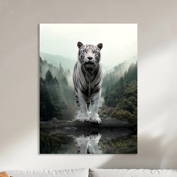 Tigre blanc reflet