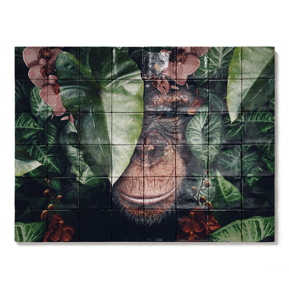 Tegel Tableau Chimpansee LS
