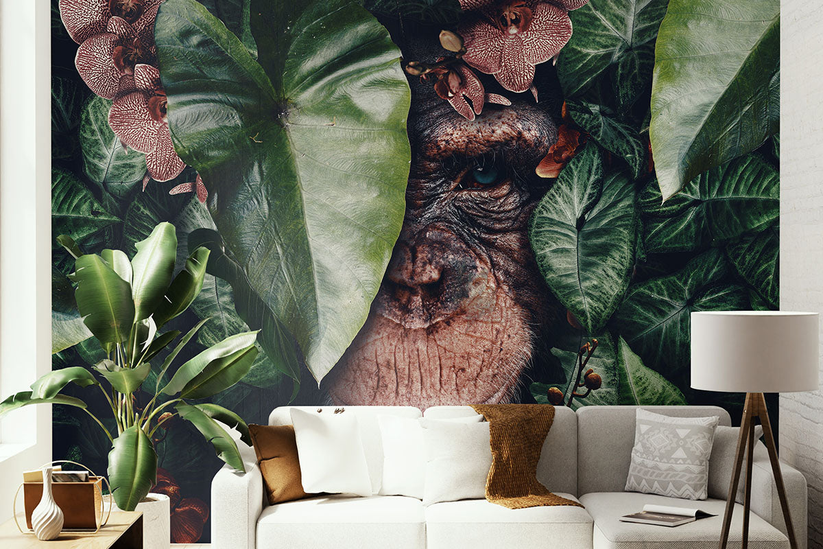 Chimpanzee Wallpaper