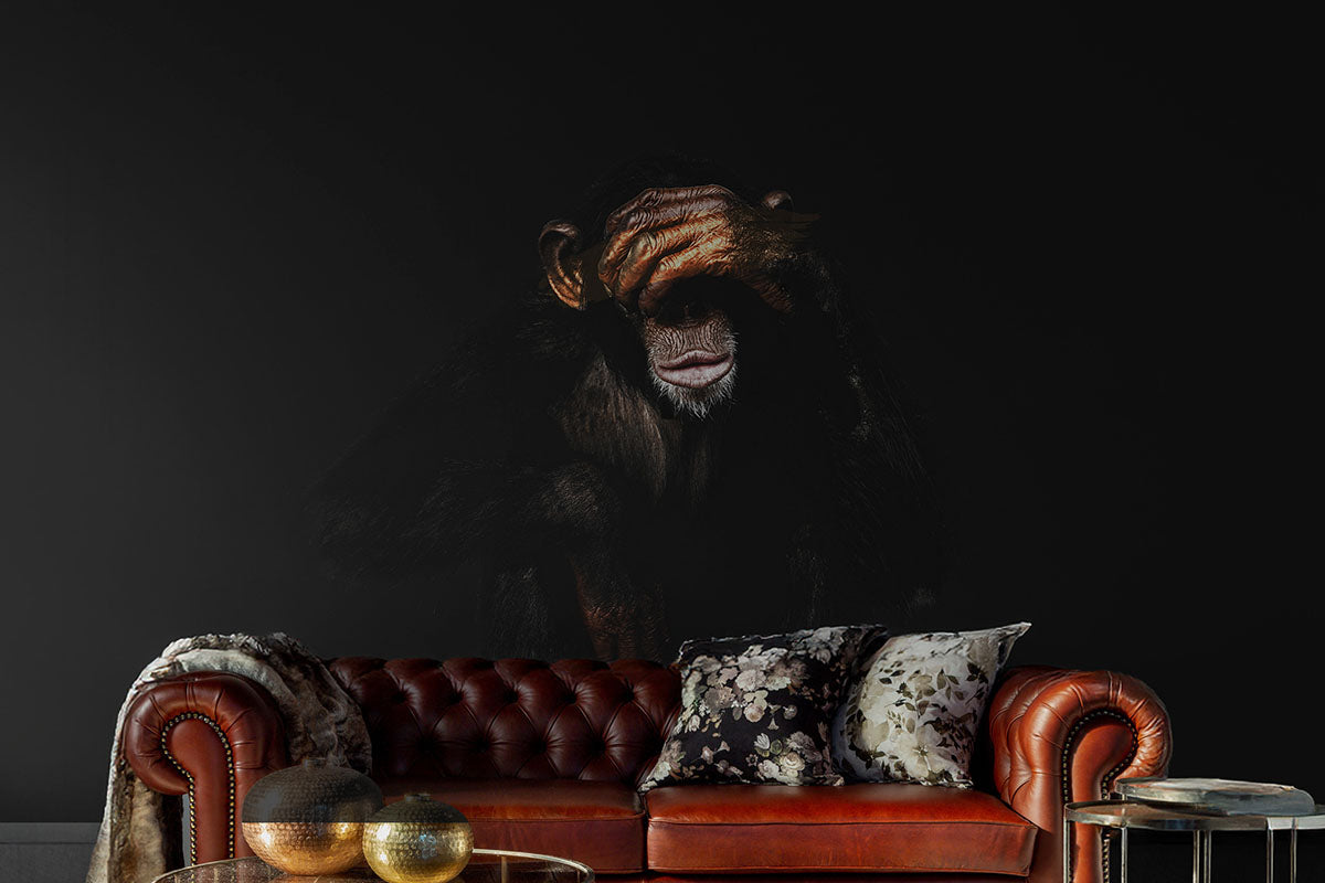 Monkey See No Evil Wallpaper