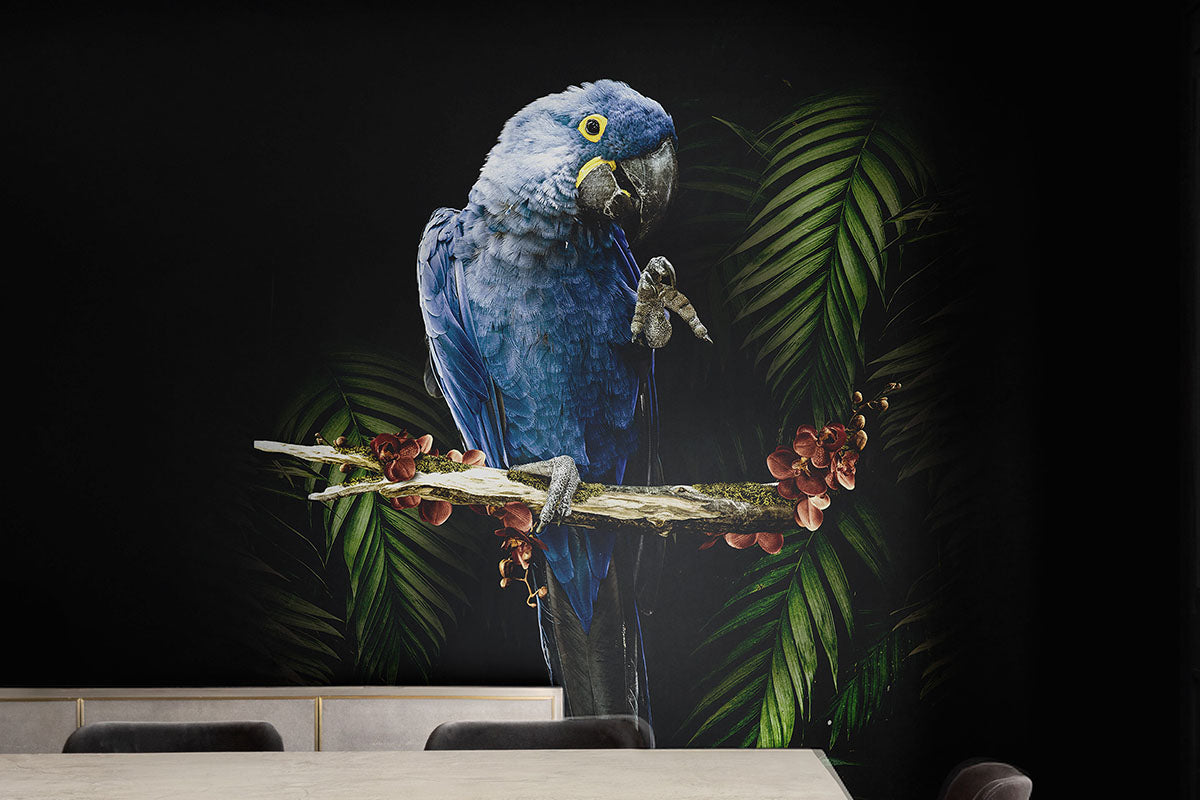 Macaw Parrot Wallpaper