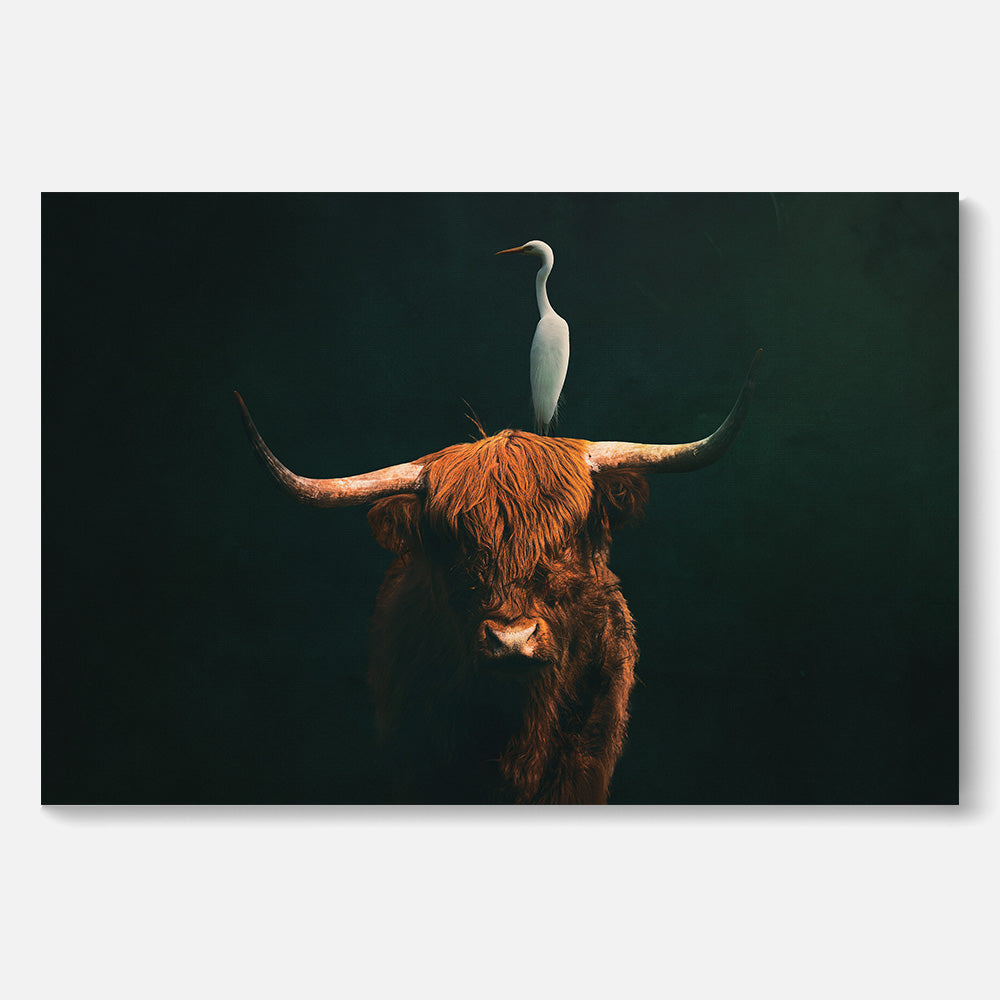 Higland Cow with Heron LS