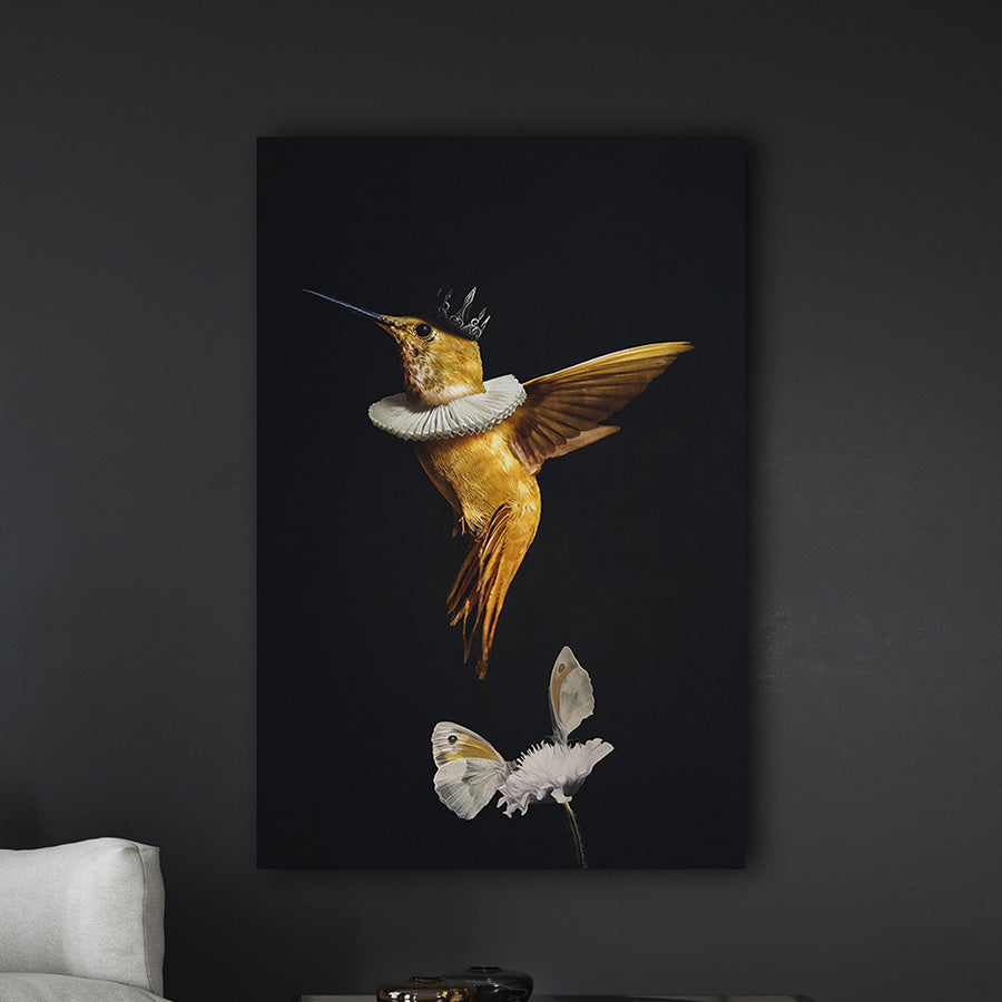 Royal Hummingbird