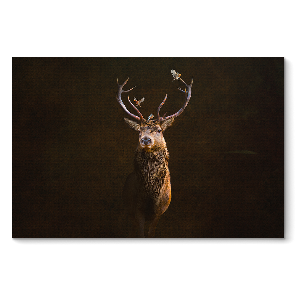 Deer with Birds LS