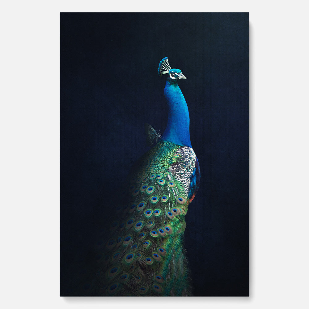 Peacock with Butterfly