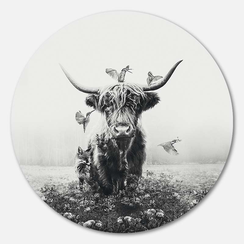 White Highlander RND