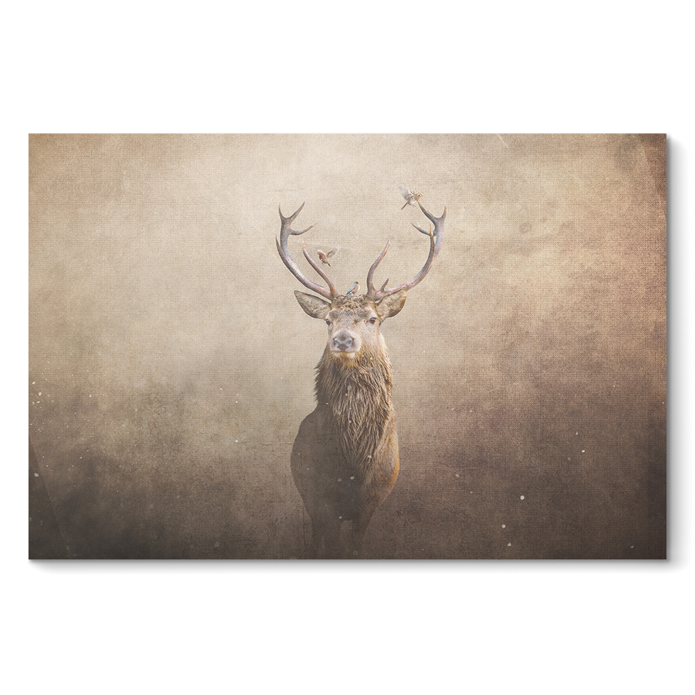 Deer with Birds Light LS