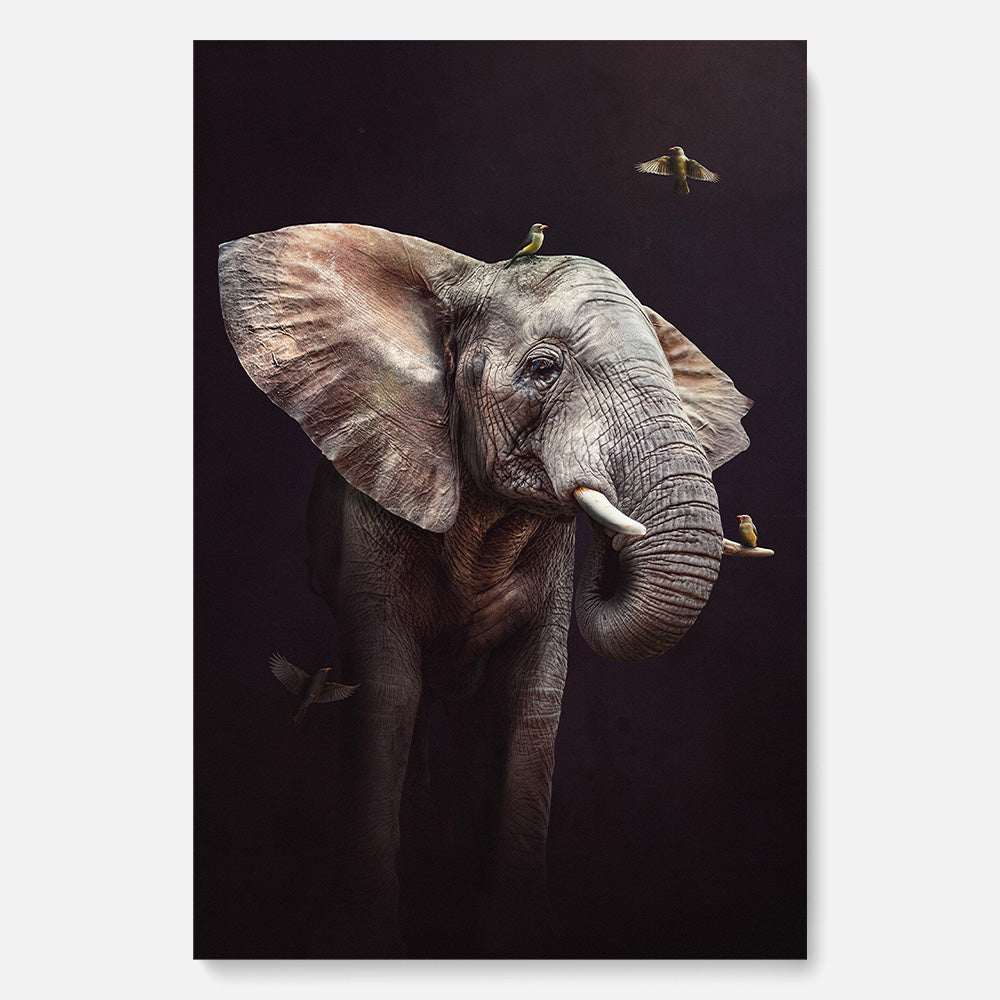 Elephant with Oxpeckers