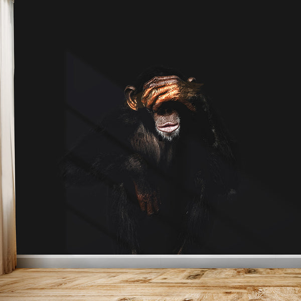 Monkey See No Evil Wallpaper