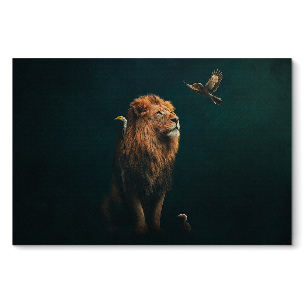 Lion with Hornbills LS