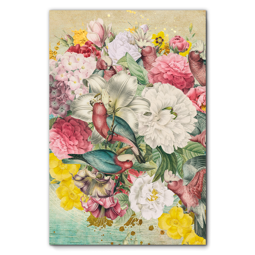 Galah Cockatoo Heaven