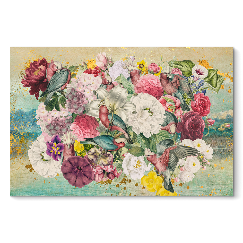 Galah Cockatoo Heaven LS