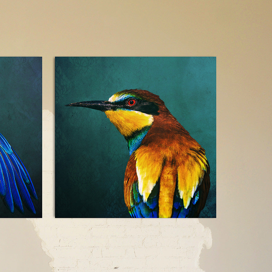 Bee-eater